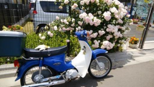 ホンダスーパーカブ110ja07