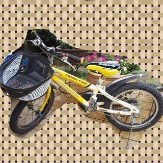 ブリジストン　子供　自転車&ヘルメット付