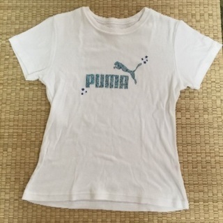puma Tシャツ