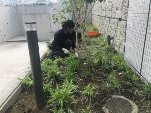 会社 工場 病院 老人ホームなどの緑地帯管理致します 埼玉県所沢 新座市さいたま市入間市川越市 ツチヤガーデンホーム 新所沢 のその他の無料広告 無料掲載の掲示板 ジモティー