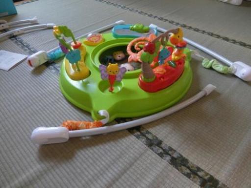 Fisher Price フィッシャープライス レインフォレストジャンパルー2