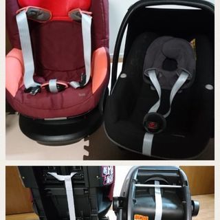クイニーザップエクストラ2、マキシコシペブル&トビ