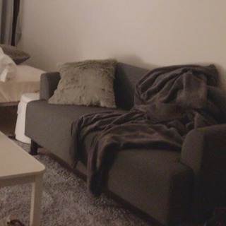 IKEAの二人掛けソファ☆引越しの為早急に買える方価格交渉