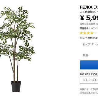 IKEA人工観葉植物900円（引取日時限定) 
