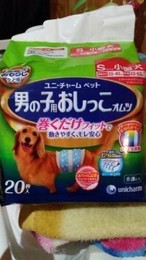犬用オムツオス用 はなふゆみ 豊島のその他の中古あげます 譲ります ジモティーで不用品の処分 犬用オムツオス用 はなふゆみ 豊島のその他の中古あげます 譲ります ジモティーで不用品の処分
