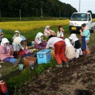 簡単な農作業 − 青森県