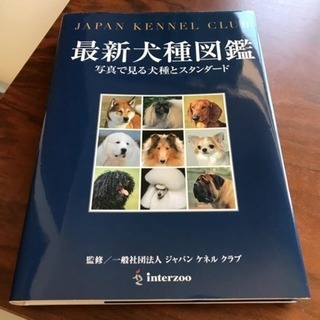 JKC 犬種図鑑