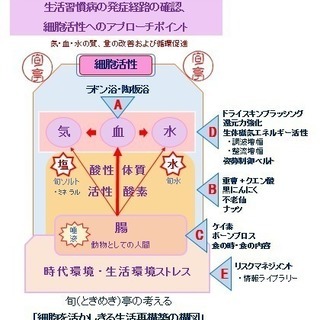 ”よく活き、よく老い、よく死ぬ” ための生活の知恵共有サロン - 美容健康