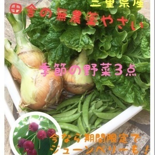 無農薬野菜の詰め合わせ