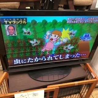 日立 42インチ プラズマテレビ 2010 HDD内蔵