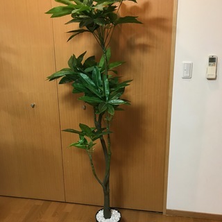 観葉植物　造花　大型　おしゃれ　差し上げます