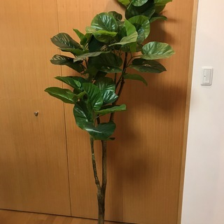 観葉植物　造花　大型　おしゃれ　差し上げます 