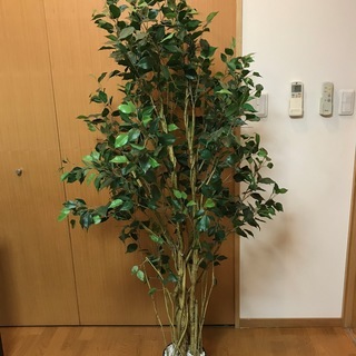 観葉植物　造花　大型　おしゃれ　差し上げます 。