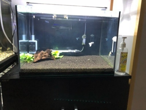 水槽450セット 最終値下げ！