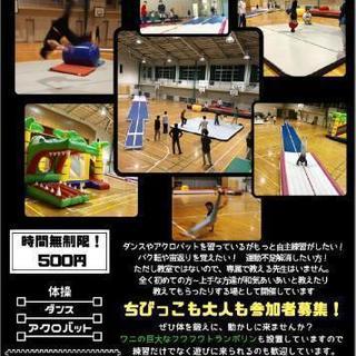 床体操メインの自主練習場!