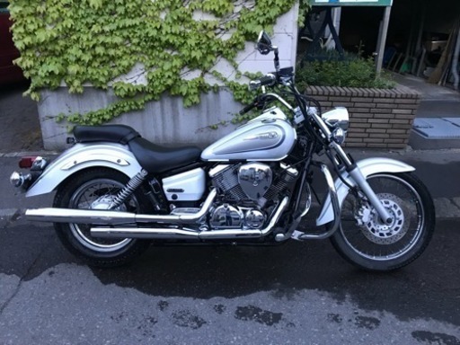 ドラッグスター250 パールホワイト