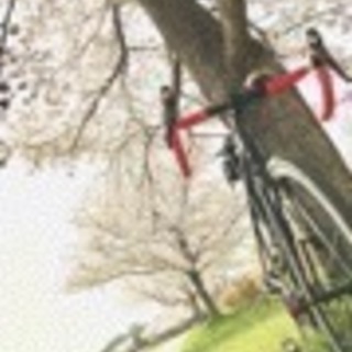 GIANT ロードバイク フレームセット