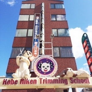 １回から習えます！日曜フリータイム制トリミング技術習得コースがスタート！神戸愛犬美容専門学院　姫路校・神戸校（垂水区）の画像