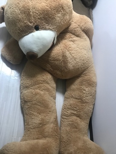 2.5メートル クマのぬいぐるみ！！