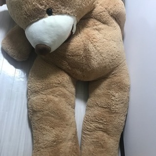 2.5メートル クマのぬいぐるみ！！