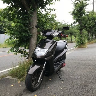 シグナス se12j 台湾ヤマハ １型 allrisk.com.pe