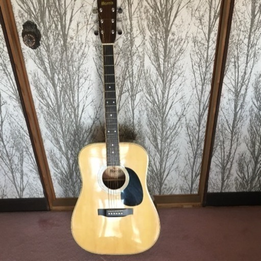 Morris ギター  W-20