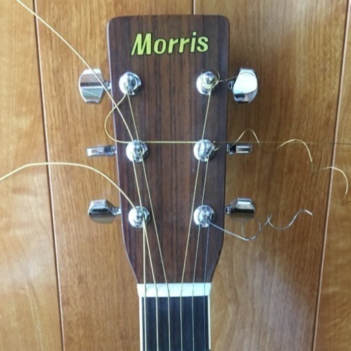 Morris ギター  W-20