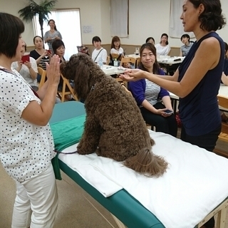 わんちゃんと一緒に参加できる♪PAWペットアロマセミナー「ペット...