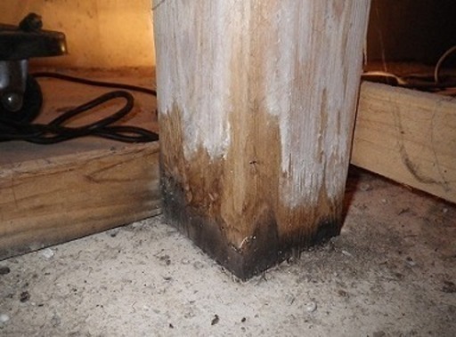 白アリ工事と永久にお別れしませんか イッシー 上尾の便利屋の無料広告 無料掲載の掲示板 ジモティー