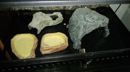爬虫類ケージ、飼育セット一式、ケージ台