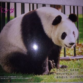 大きな 動物 の 写真 絵本 かおりん 横浜の全ての中古あげます 譲ります ジモティーで不用品の処分
