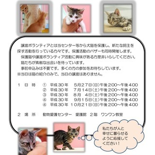 名古屋市動物愛護センター主催　猫の譲渡会