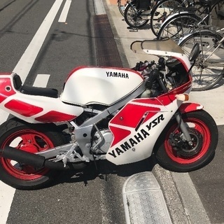 希少YSR80