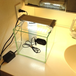 20cmガラスキューブ水槽、フィルター、照明、水温計