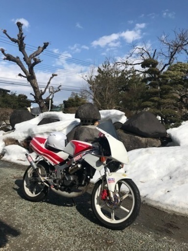 ＨＯＮＤＡ NS-1  キック1発始動