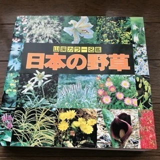 日本の 野草 植物図鑑