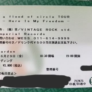 a flood of circle TOUR