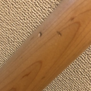 phychederhythm サイケデリズム  レフティ