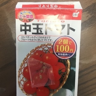 中玉トマトの種6つ