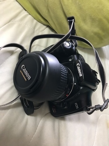 本日の受渡し！Canon ＥＯＳ Kiss Digital Ｎ