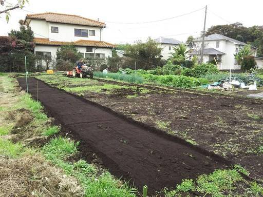 栄養豊富な広めな畑をお貸しします 貸し畑 貸し農園 レンタル畑 レンタル農園 藤沢ふぁーむ８３１ 藤沢の短期賃貸の不動産 住宅情報 無料掲載の掲示板 ジモティー