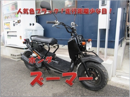 埼玉川口発！ホンダ　ズーマー　即引渡し可能！！