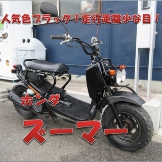 埼玉川口発！ホンダ ズーマー 即引渡し可能！！ kantorberitaburuh.com
