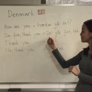デンマーク語講座　初心者から上級者まで　予約制ネイティブ講師　１...
