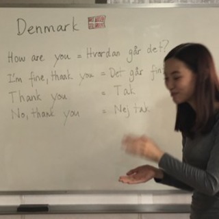 デンマーク語講座　初心者から上級者まで　予約制ネイティブ講師　 - 教室・スクール