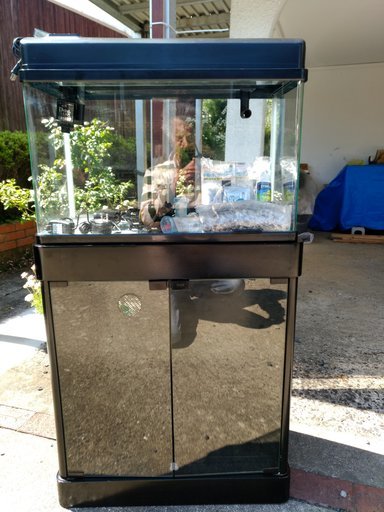 600×300×360　水槽セット専用台付き
