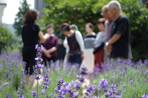 第7回ラベンダークラフト講習会 Buccha 平田のワークショップのイベント参加者募集 無料掲載の掲示板 ジモティー