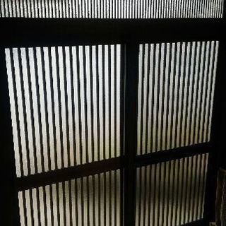 エルモELMO ドッグフード - ドライフード 