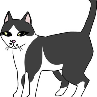 猫のてんてん♂2011年生まれを探しています。 - 手伝って/助けて