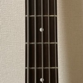 moon jb-5 ムーン ジャズベース 5弦 新品購入 2017年9月